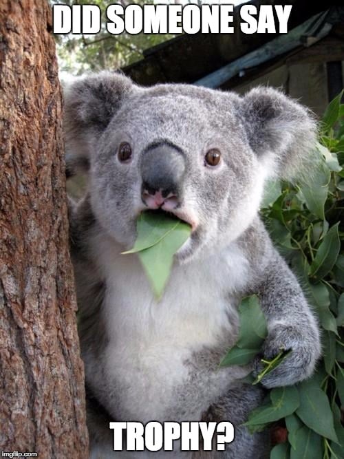 Surprised Koala Trophy